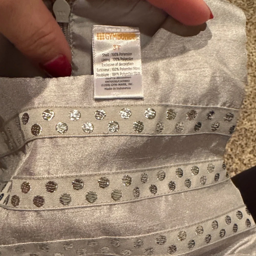 Gymboree Shimmering Silver Formal Dress